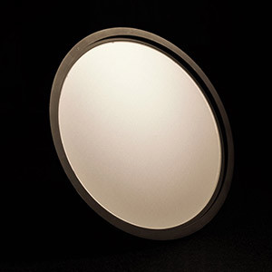 RPC PHOTONICSWԪɢƬ΢͸Ruλ